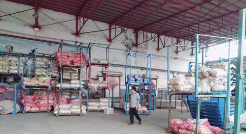 濟南萊蕪區寨里鎮薛埠村姜蒜加工廠安全生產專項檢查工作動態