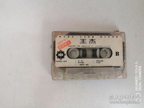 從唱片到網絡視聽 音像制品收藏與傳播的演變